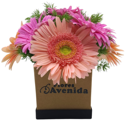 Caja con flores gerberas